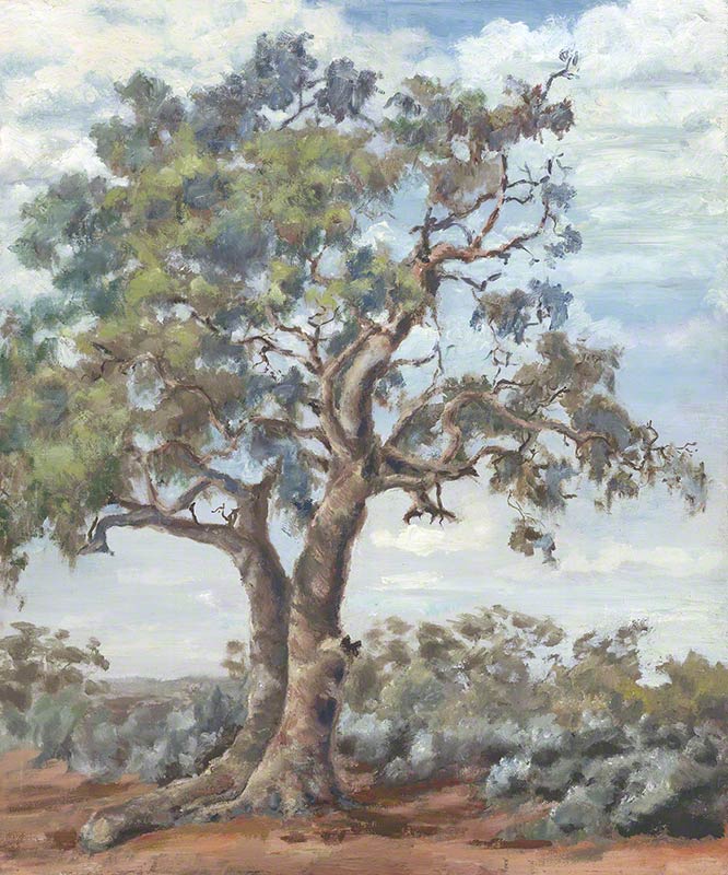 Brown Creek Gum and Saltbush by Susan Dorothea White