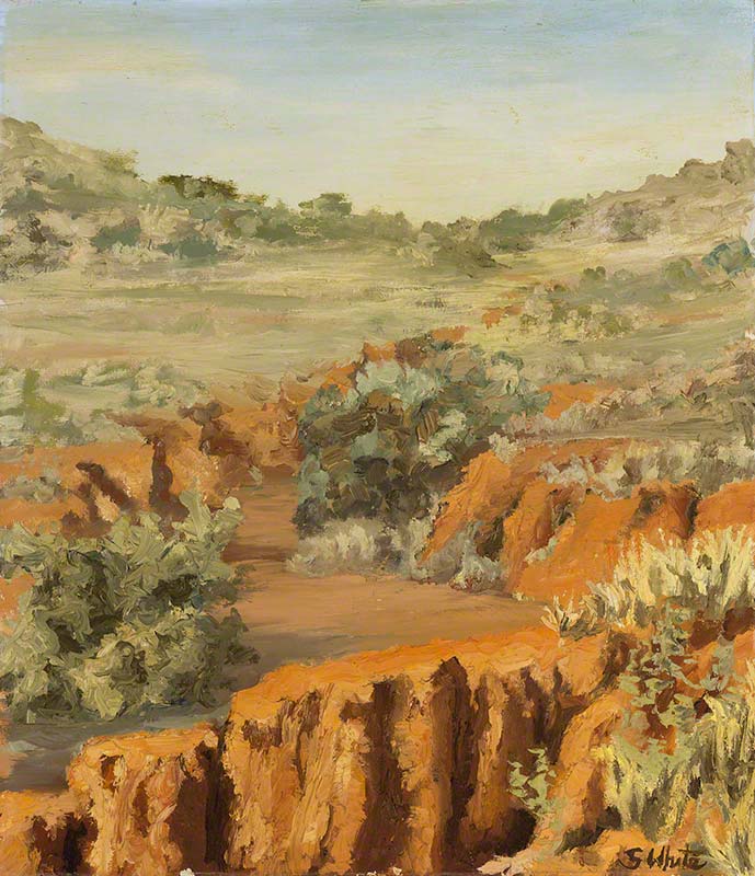 The Creek Bed / Outback Erosion by Susan Dorothea White