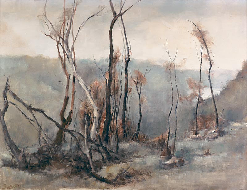 East Coast Landscape, after Bushfire by Susan Dorothea White