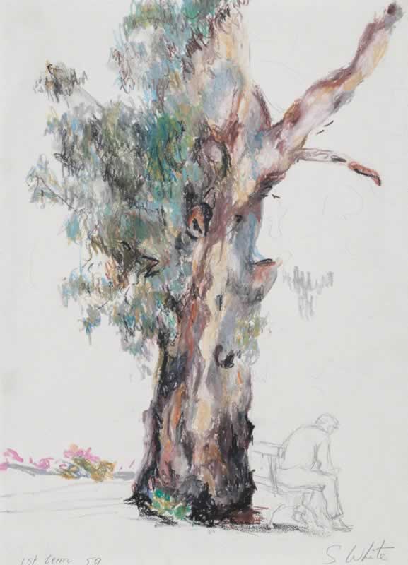 Man Seated under Old Gum by Susan Dorothea White