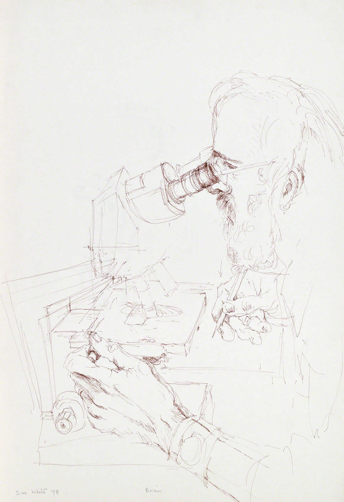 Scientist at Microscope - study for portrait 'Dr Brian Freeman' by Susan Dorothea White