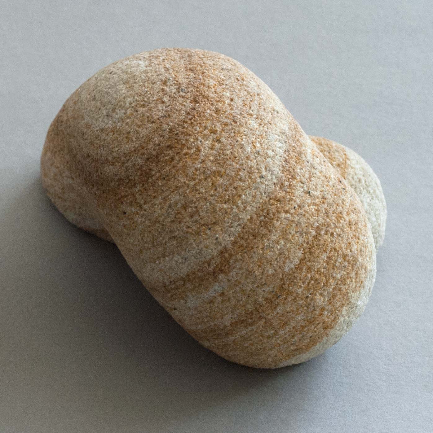 Seashore Shapes by  Susan D White