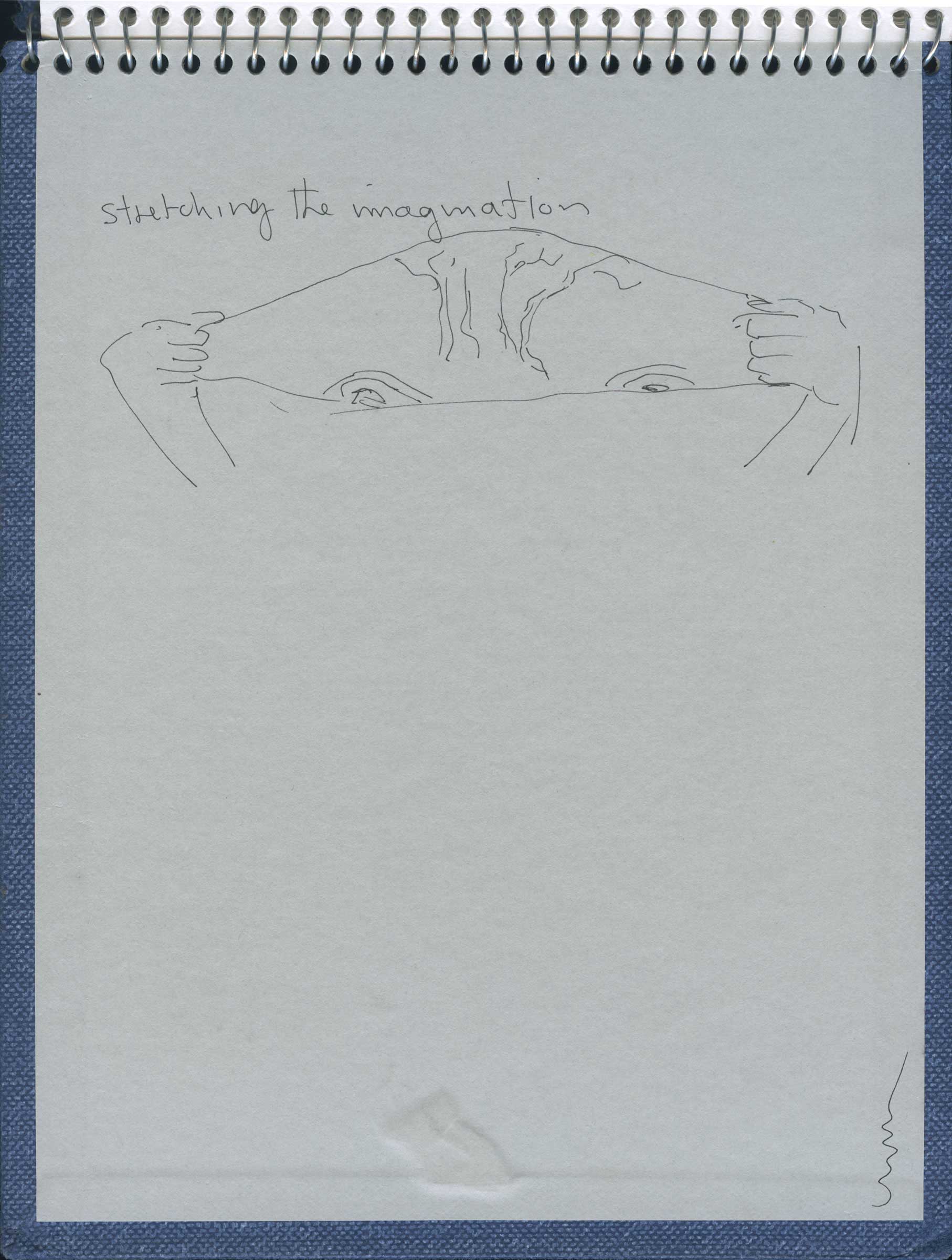 Stretching the Imagination by  Susan D White