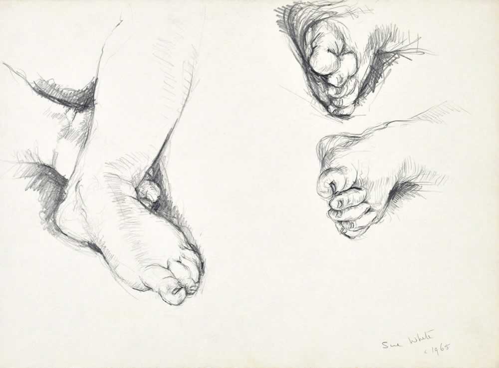 Study of Baby's Feet by Susan Dorothea White