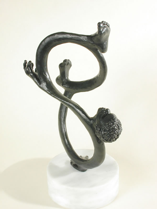 The Dance of Eternity by  Susan D White