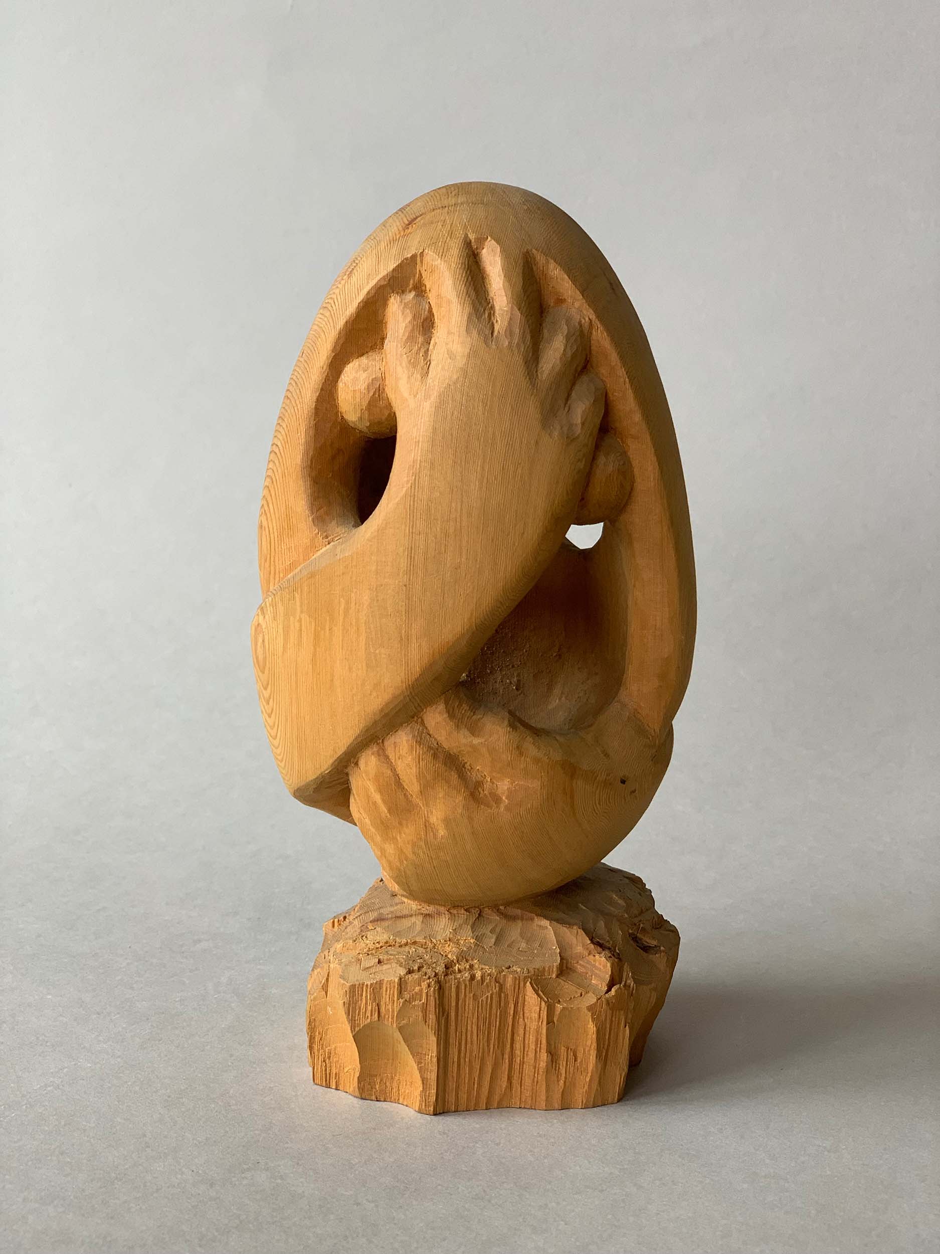 The Shy Egg by  Susan D White