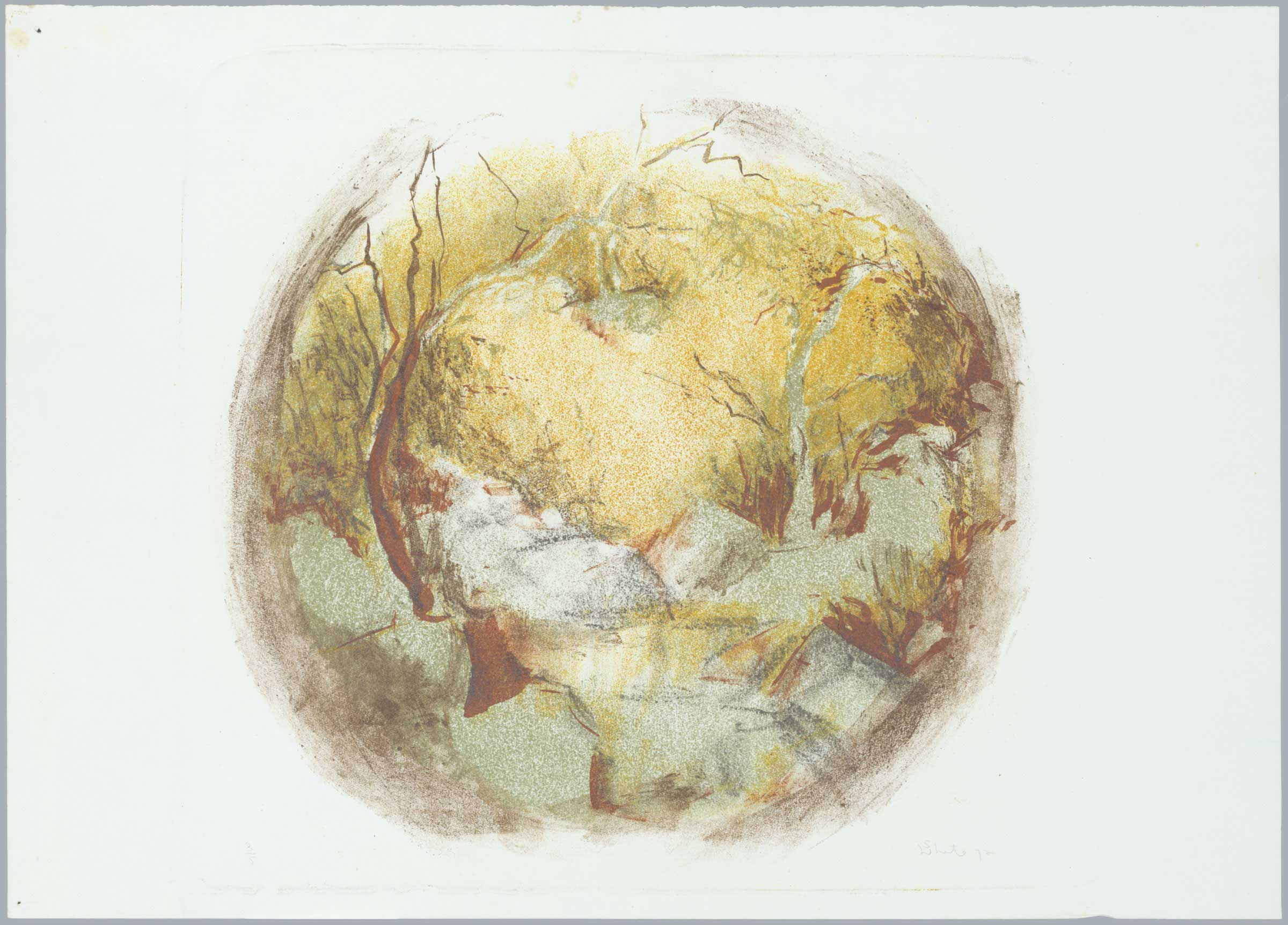 Ochre glade by © Susan D White