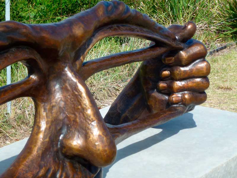 Stretching the Imagination by  Susan D White