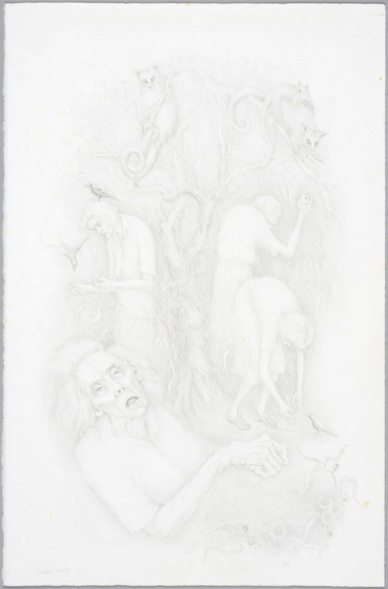 The Stroke by  Susan D White