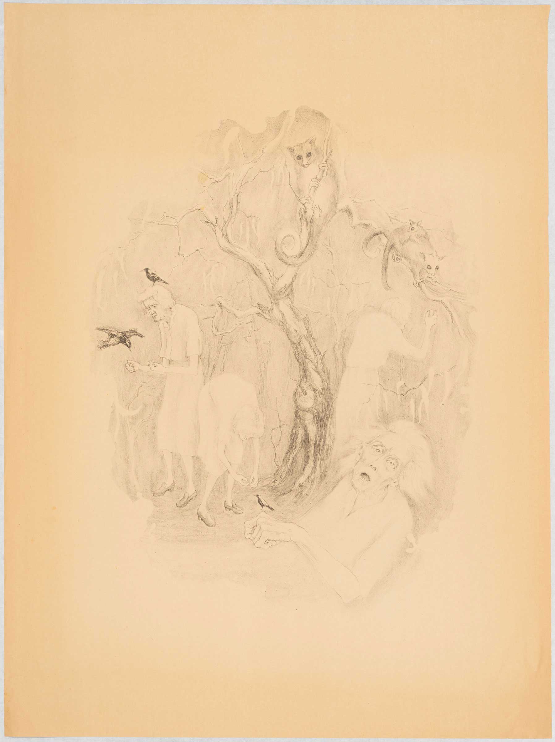 The death of St Francis of Australia by © Susan D White